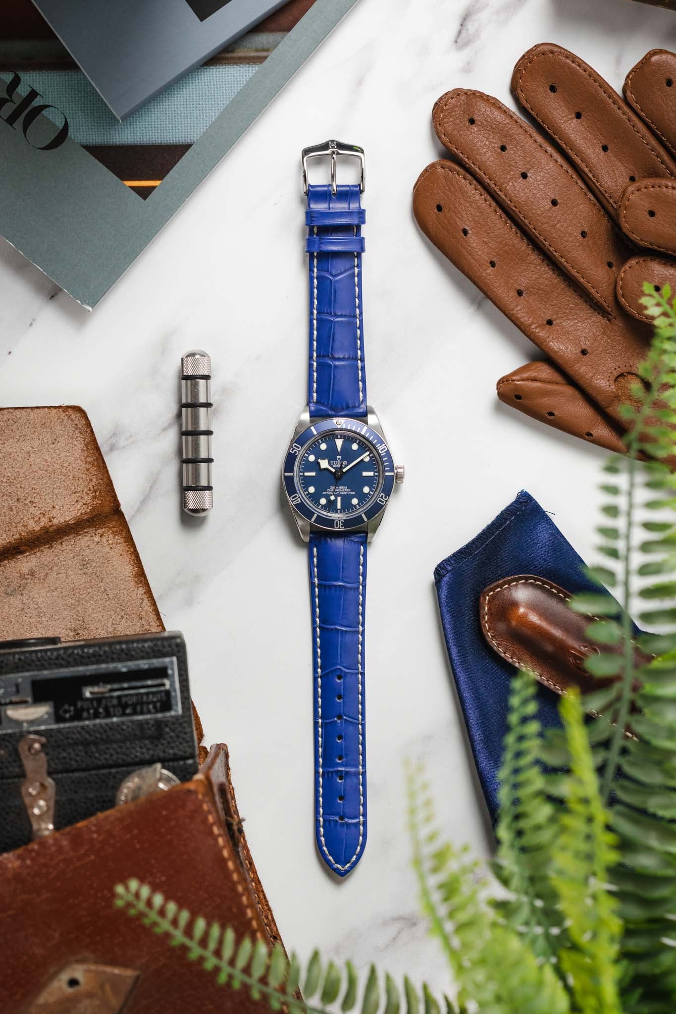 Hirsch MODENA Alligator Embossed Leather Watch Strap in ROYAL BLUE