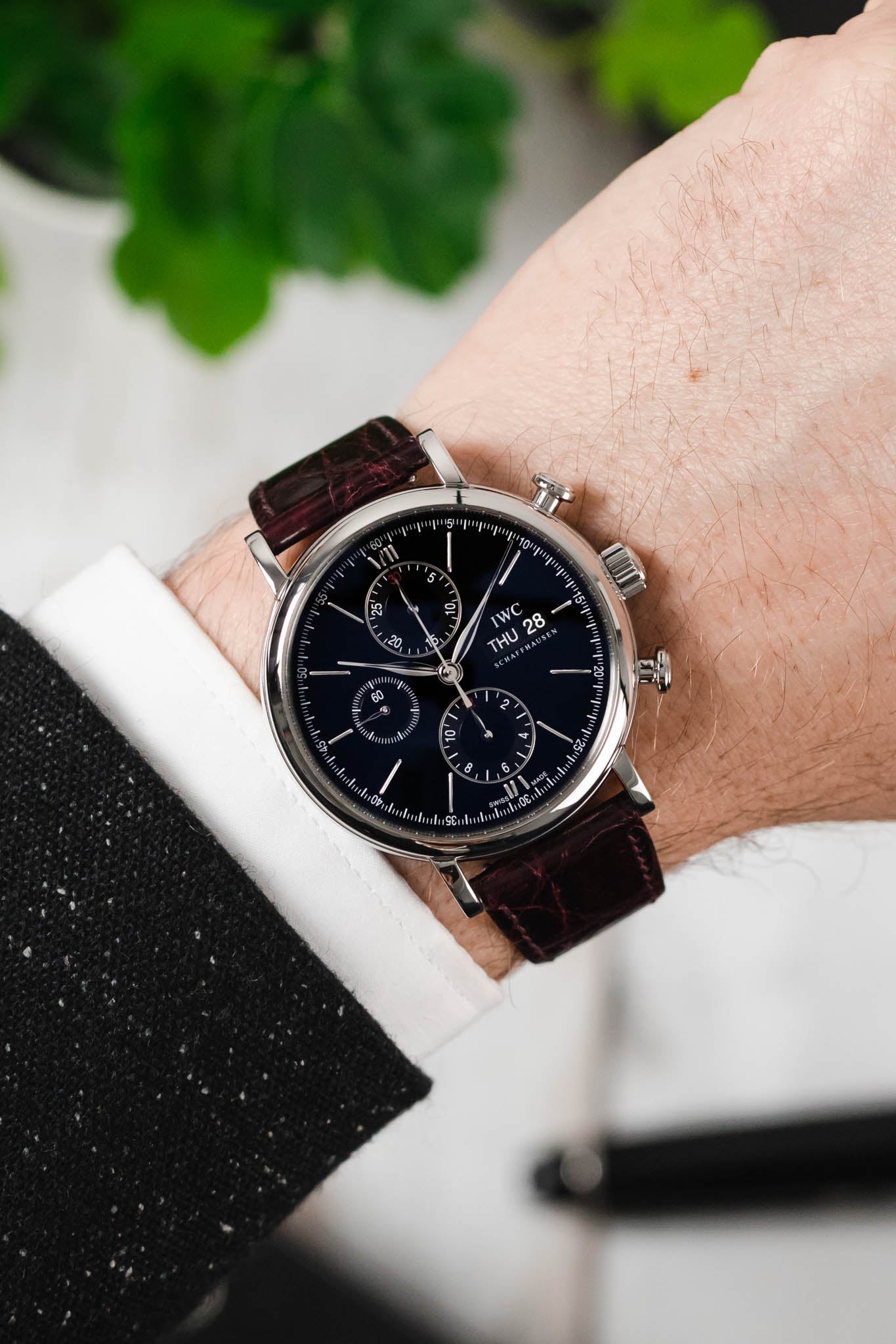 Hirsch Shiny Croco Watch Strap | Burgundy | HirschStraps