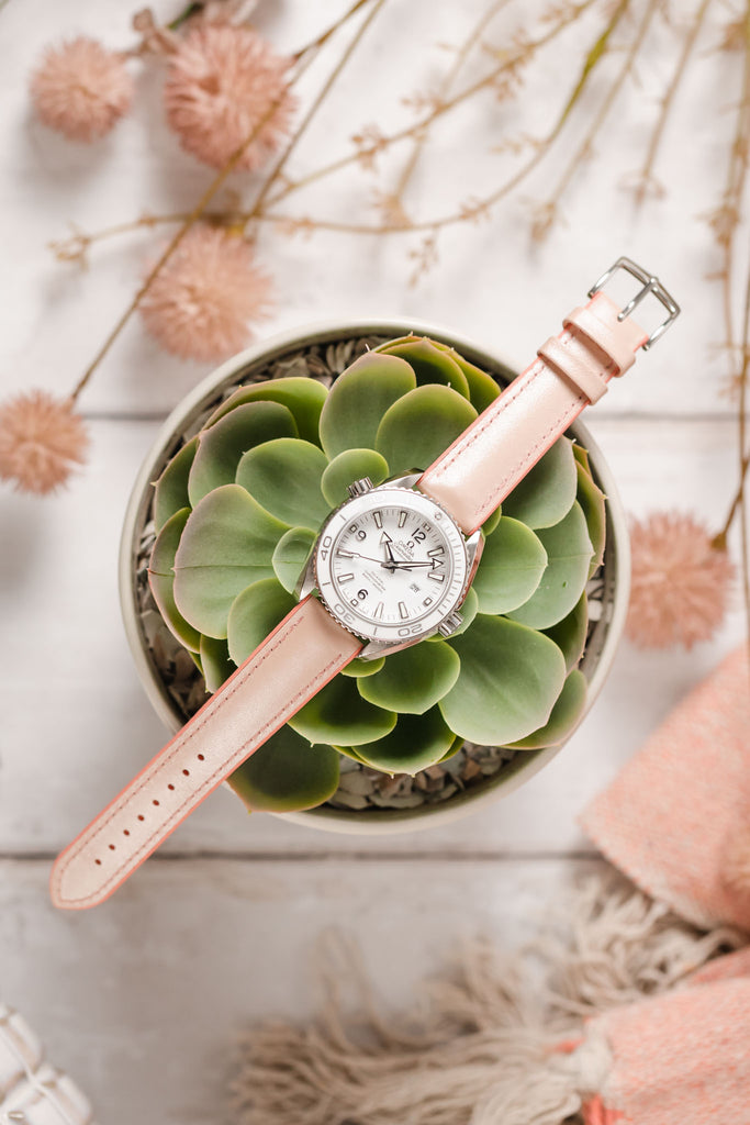 light pink watch strap on plant