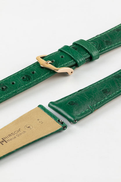 Hirsch MASSAI OSTRICH Leather Watch Strap in GREEN