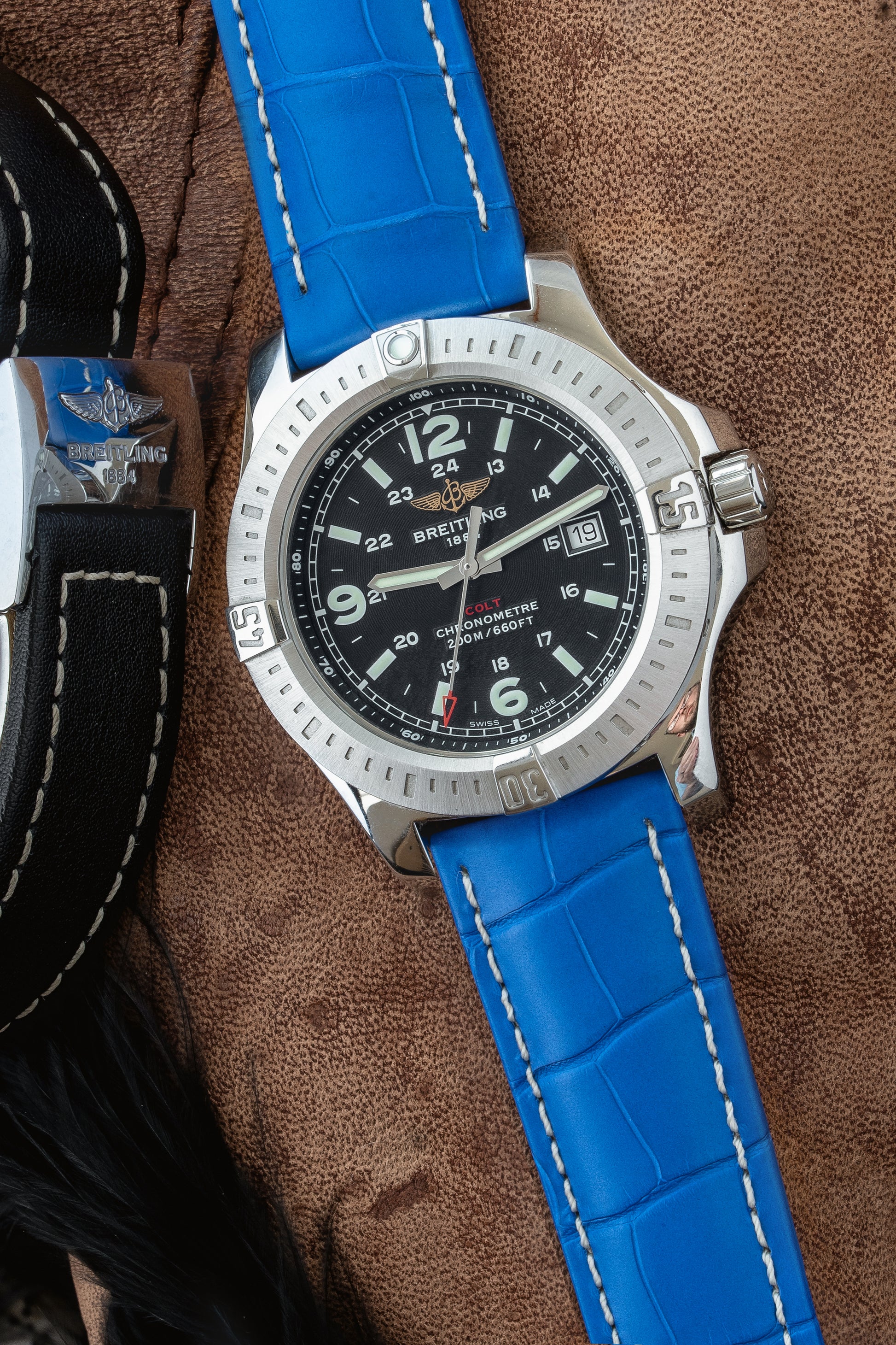 blue alligator watch strap